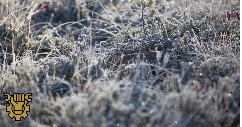 preparation terrain avant hiver - ams excellence