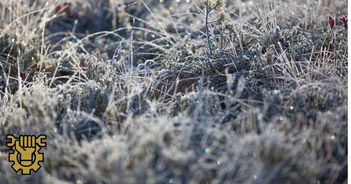 preparation terrain avant hiver - ams excellence